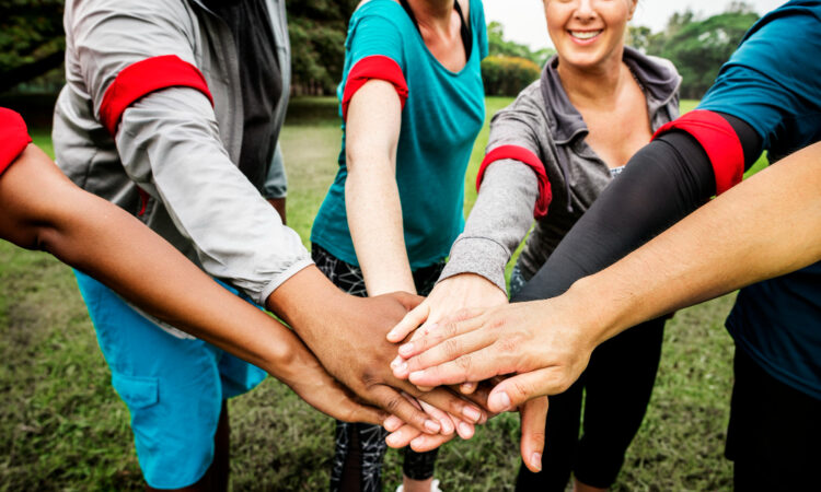 Logiciel de gestion pour association culturelle : nos conseils