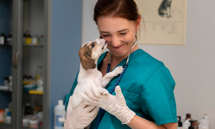 Un ERP pensé pour les cliniques vétérinaires